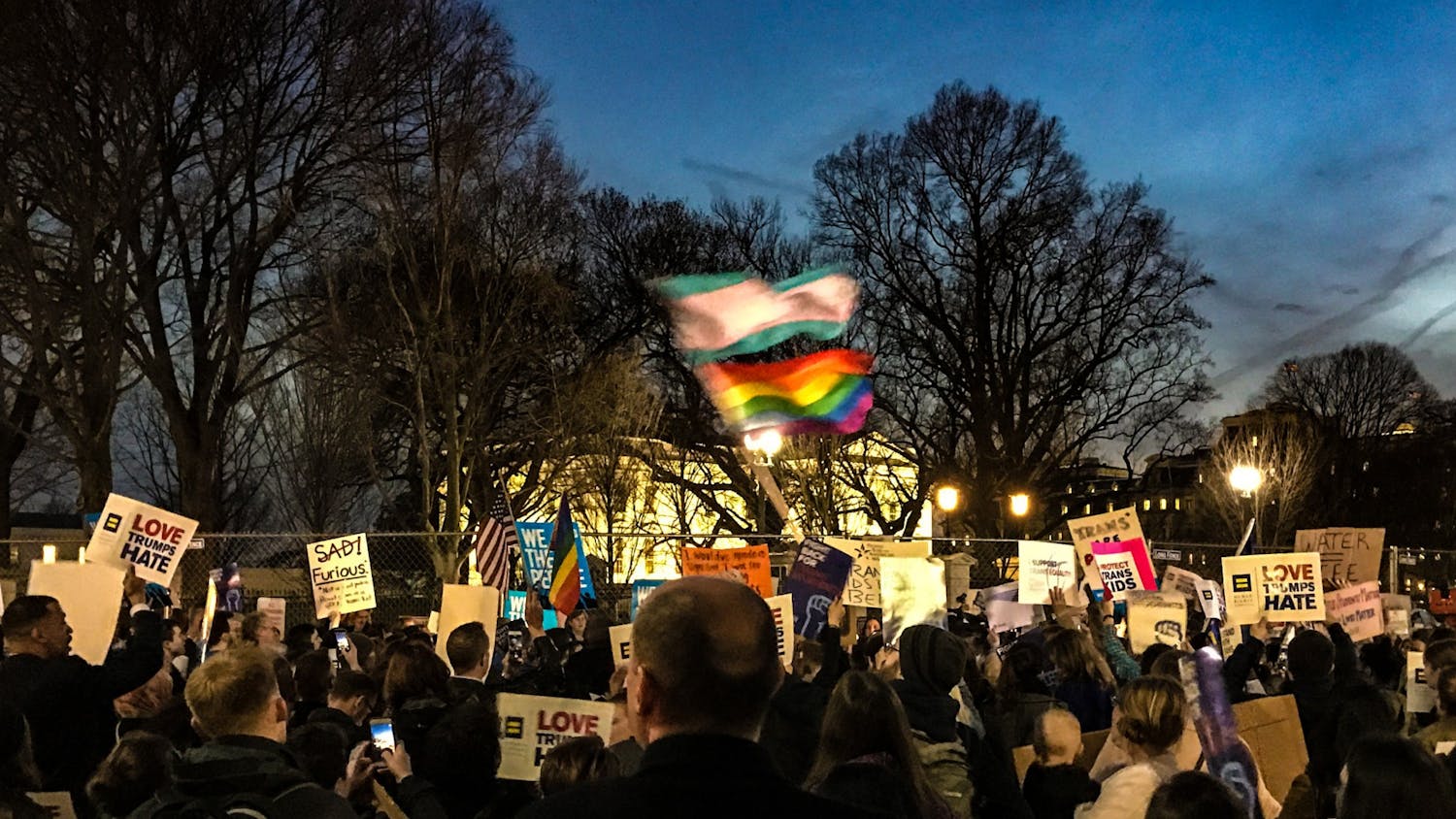 Don't Say Gay Bill.jpeg