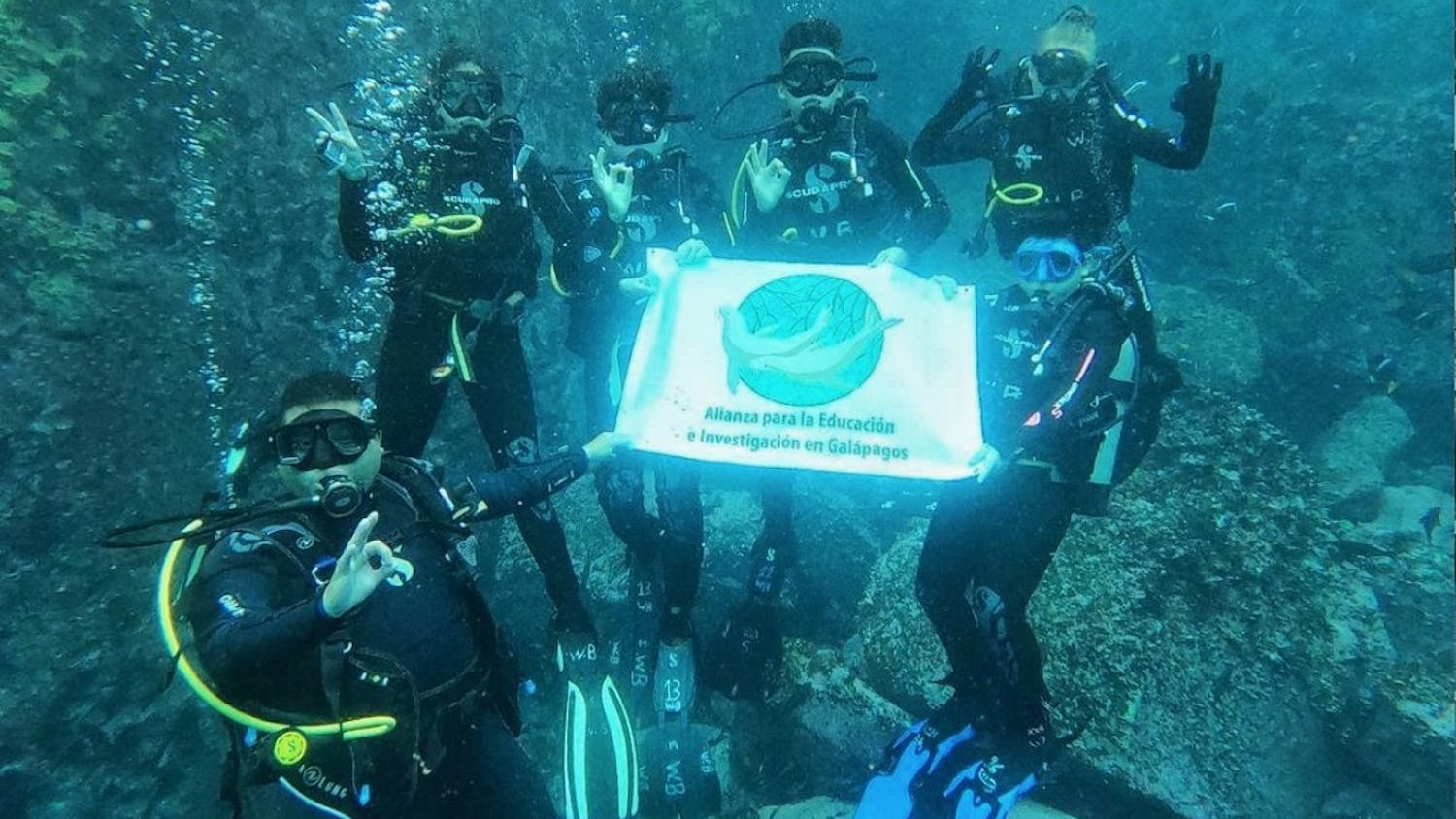 weisberg galapagos research (Perry World House).jpeg