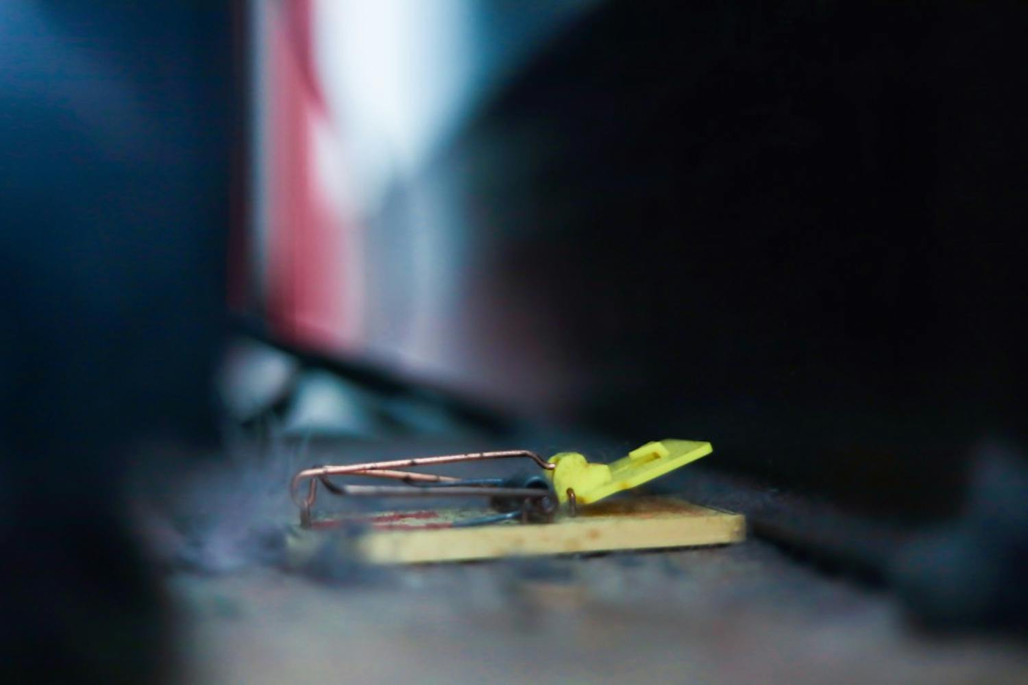 Tenants Rights Mousetrap.jpg