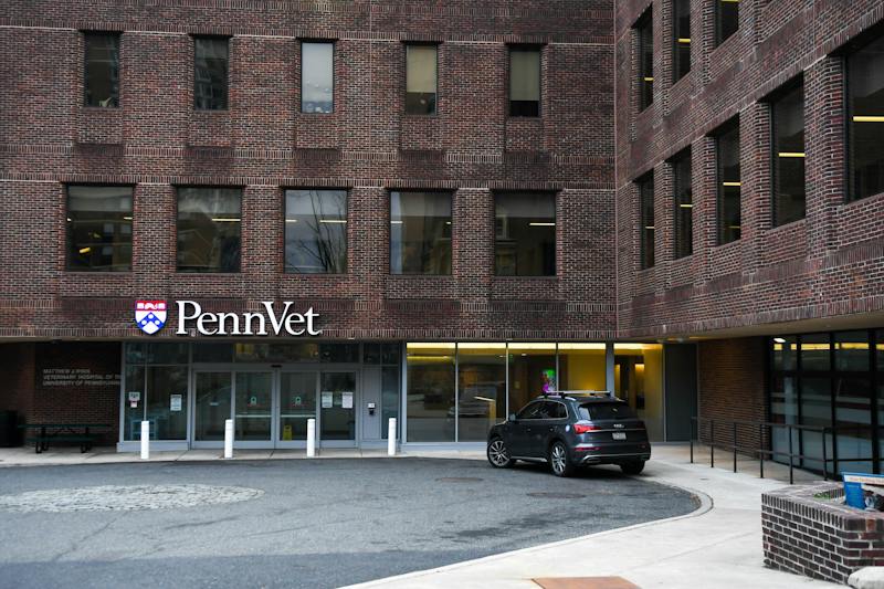 Penn behind new Pa. budget provision providing state-funded research with extensions