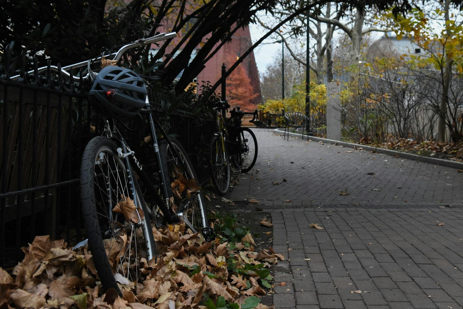 11-30-21 Campus Bike Racks (Sophia Leung).jpg