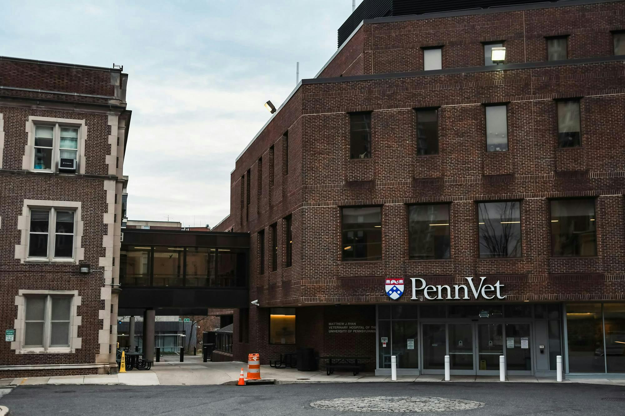 02-11-24 Penn Vet (Carly Zhao)-.jpg