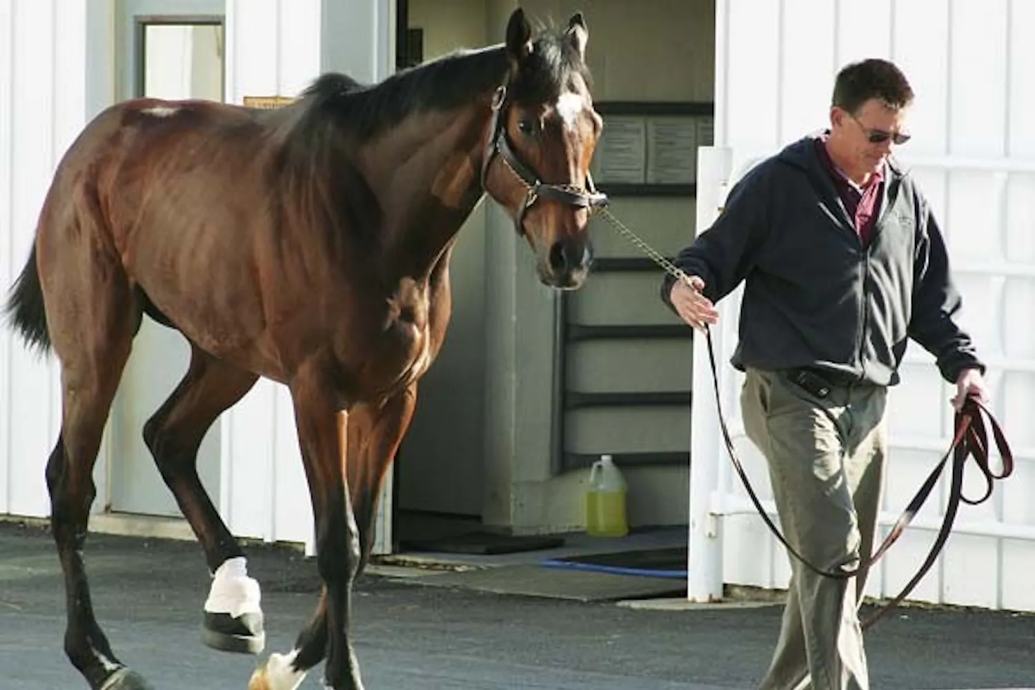 *Beating an undead horse