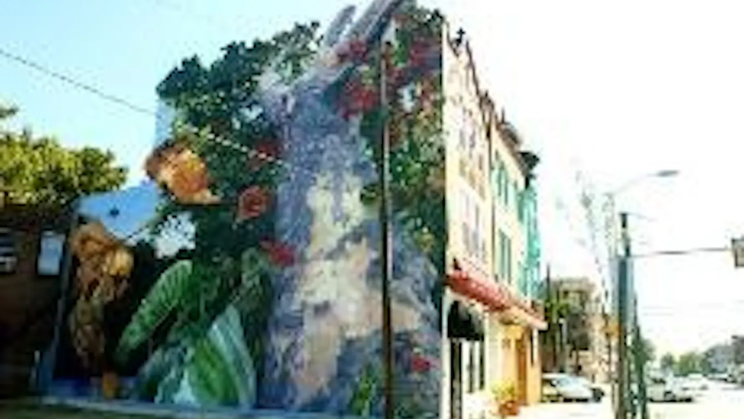 Wallflowers in West Philadelphia