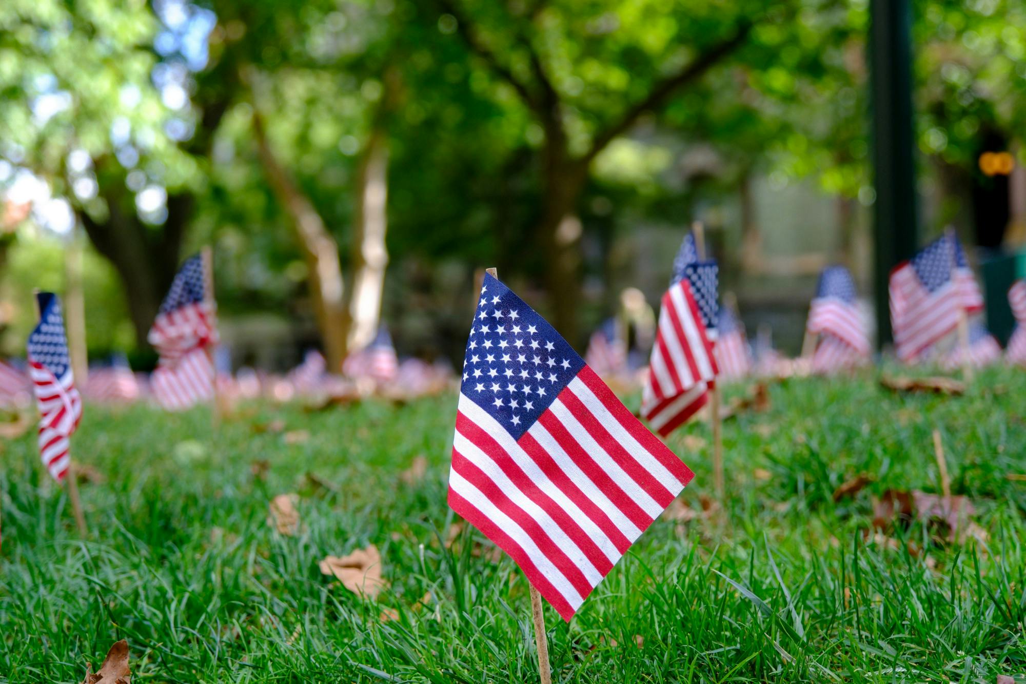 09-11-23 Flags on College Green (Abhiram Juvvadi).jpg