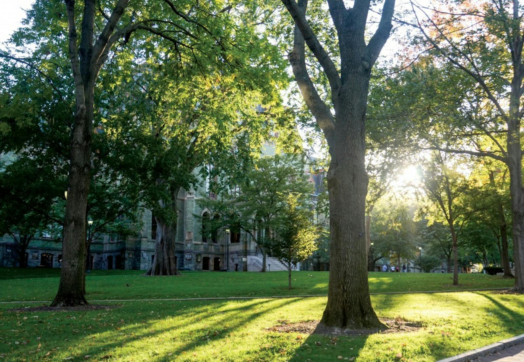 Trees Sunlight Environment Biden Reactions.jpg