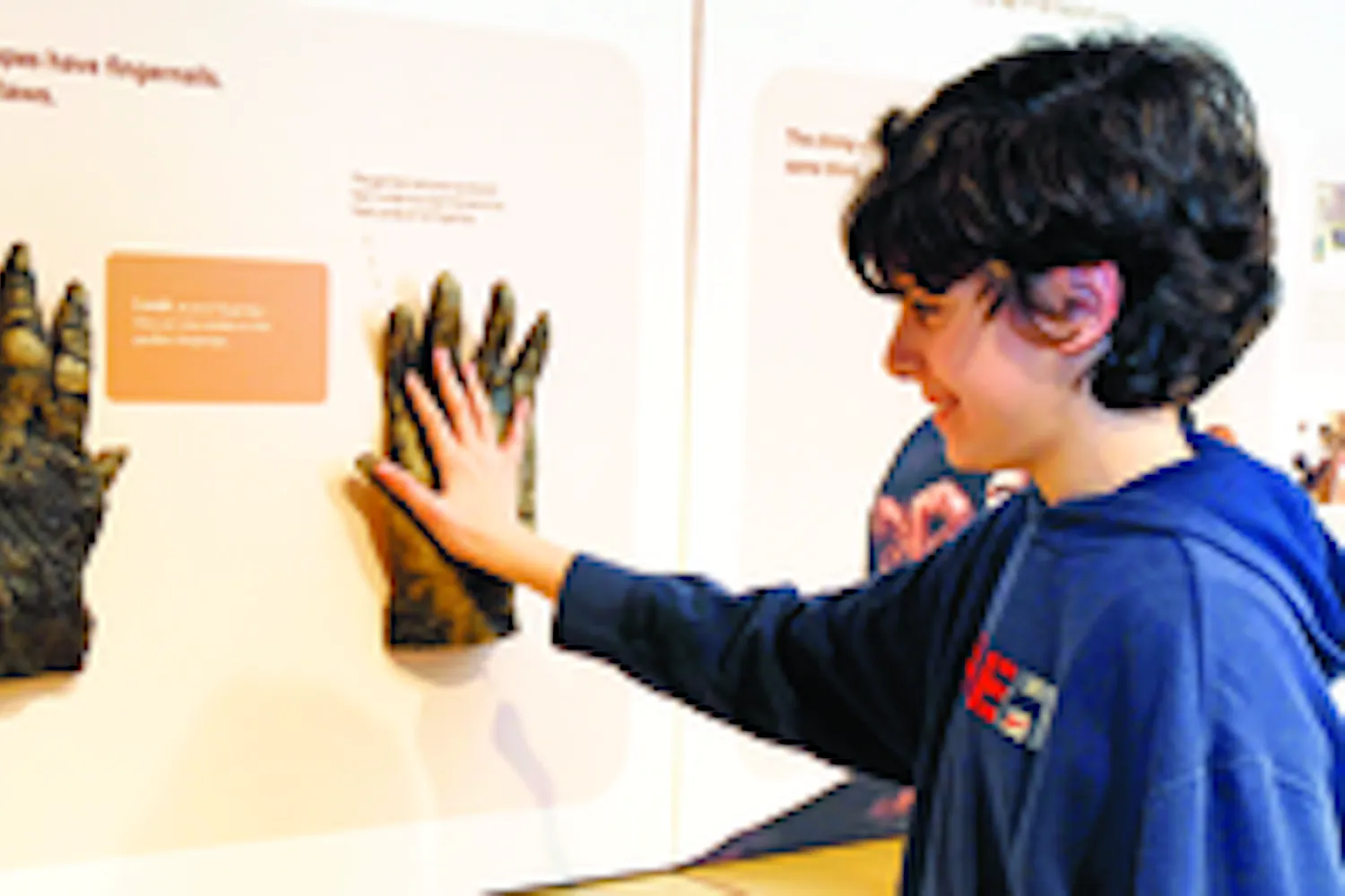 Evolution exhibit opens at Penn
