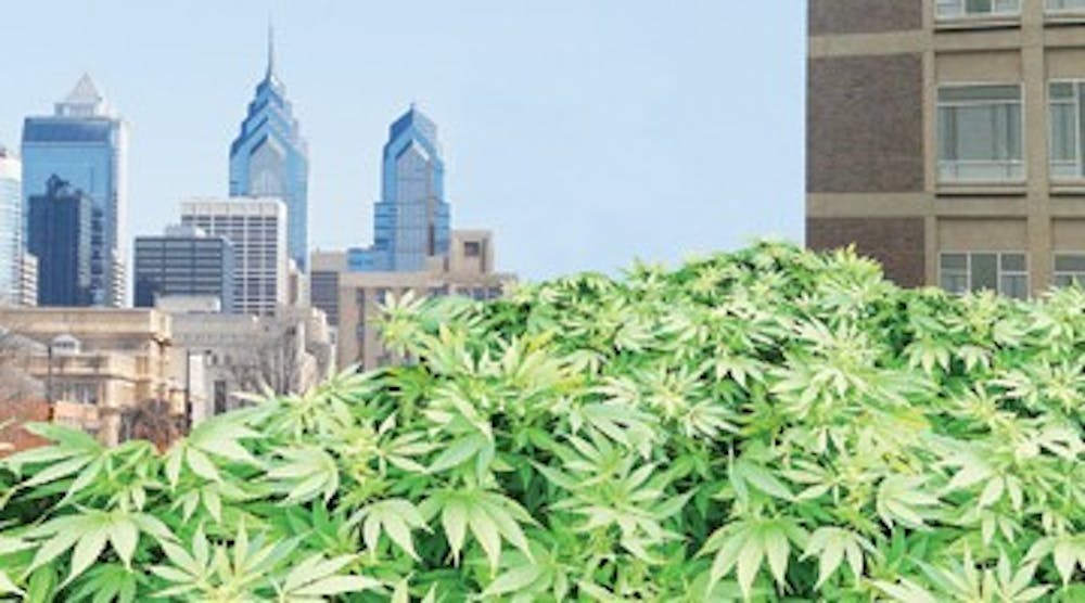 *When green goes wrong