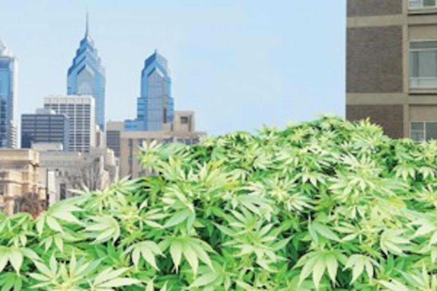 *When green goes wrong