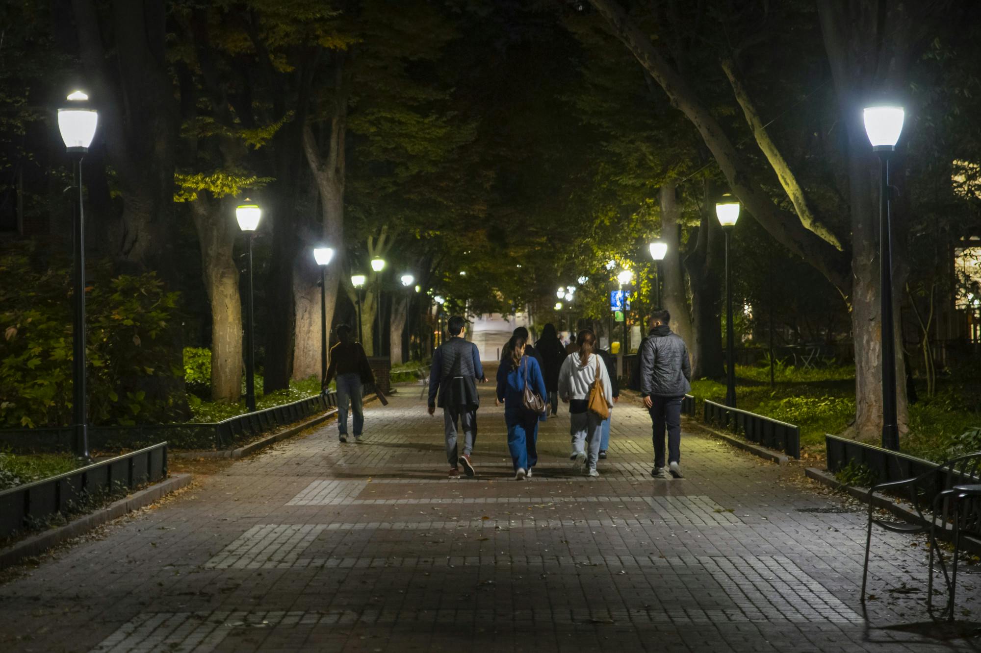 10-26-25 Locust Walk (Chenyao Liu).jpg