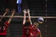 Volleyball | 'Havoc' the name of the game for Harvard