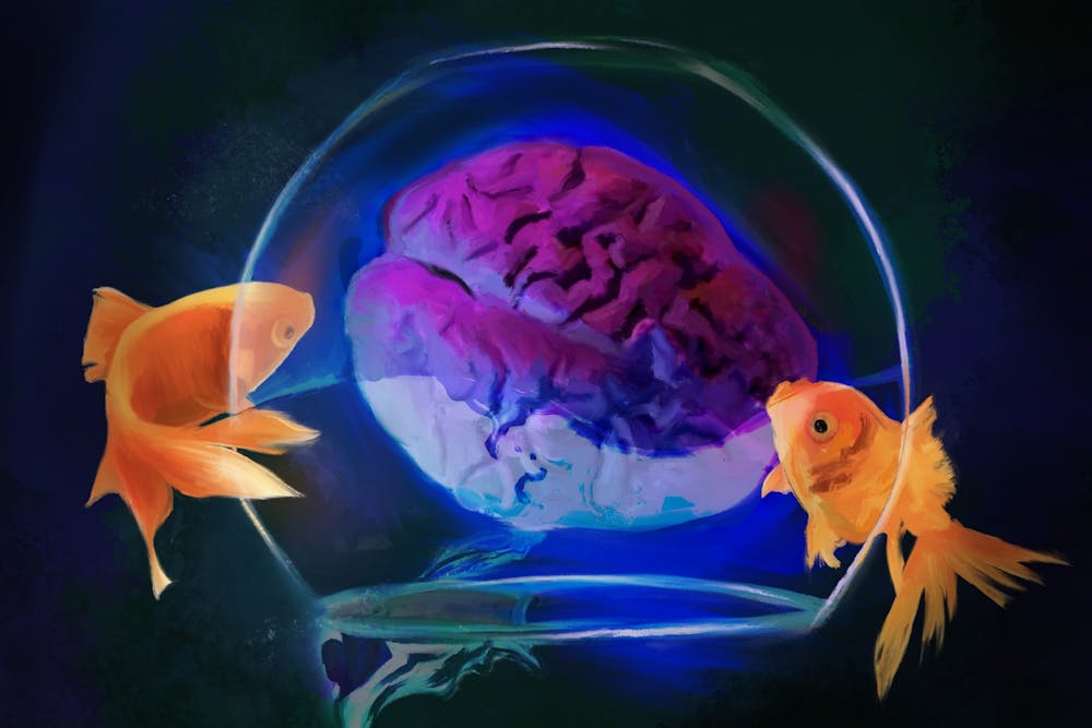 brain-imagination-illustration-keyu