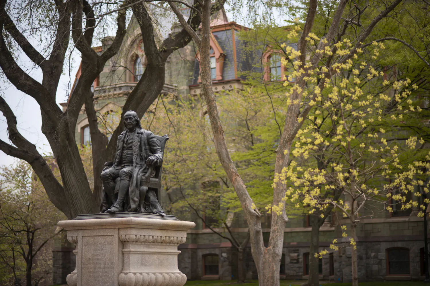 04-15-25 Campus (Chenyao Liu).jpg