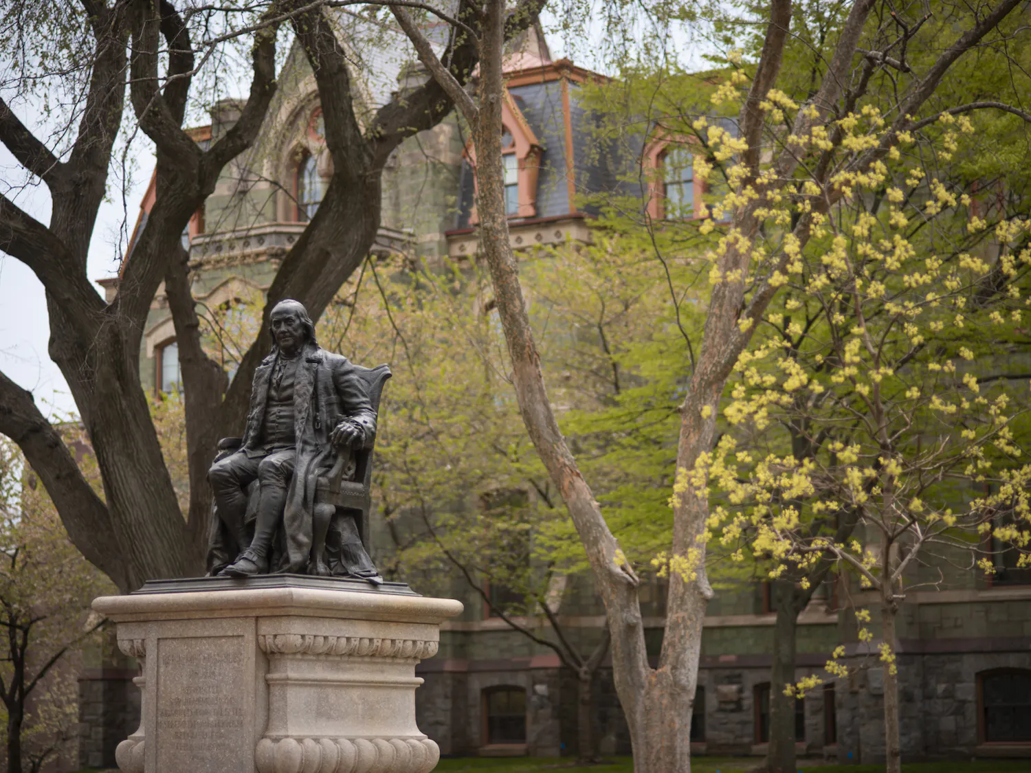 04-15-25 Campus (Chenyao Liu).jpg