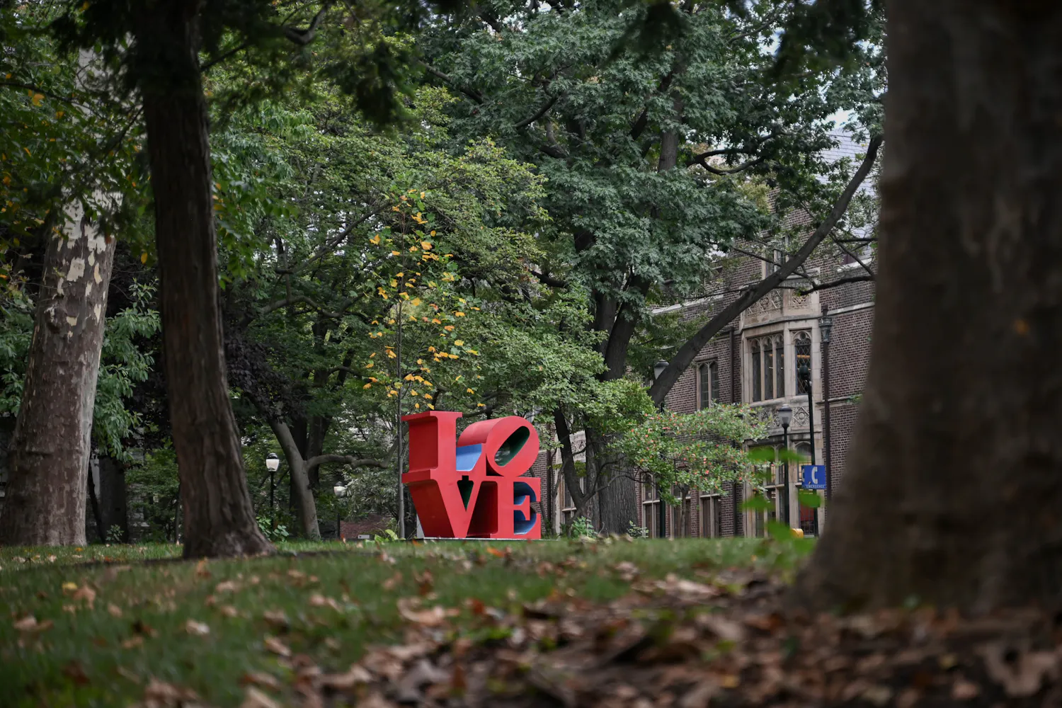09-06-25 Campus (Chenyao Liu).jpg