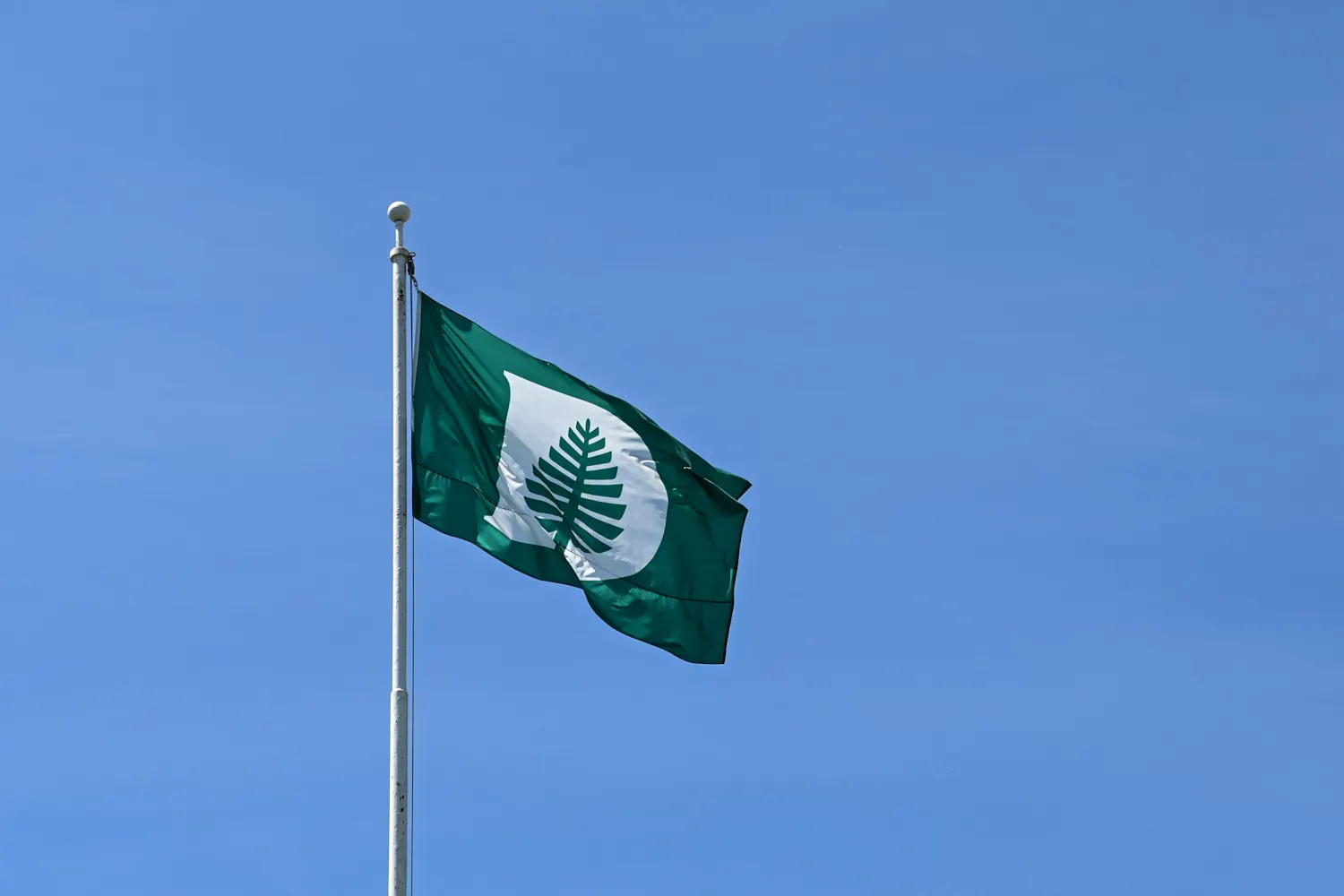 05-27-20 Darmouth College flag (Kylie Cooper).jpg