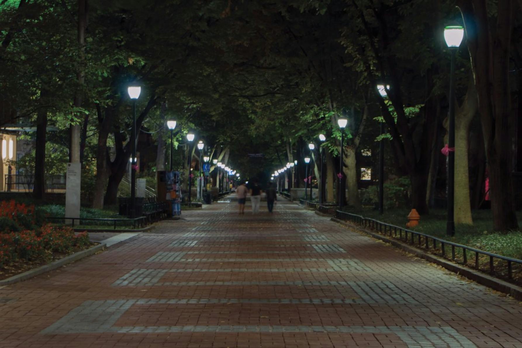 sexual misconduct locust at night