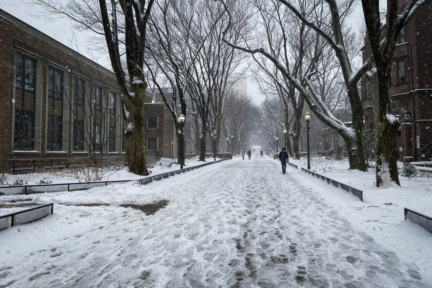 02-01-21 Locust Walk (Marija Westfall).jpg