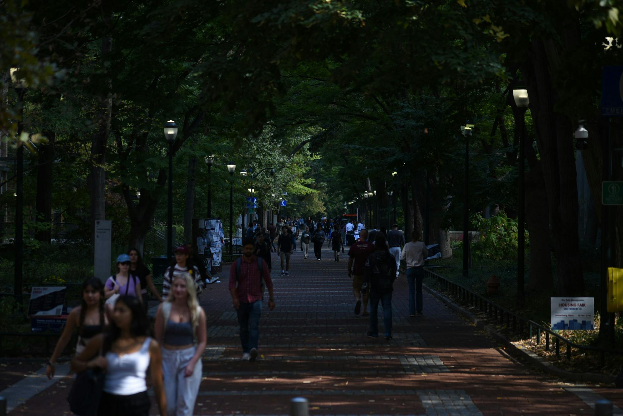 10-07-2024 Locust Walk (Chenayo Liu)