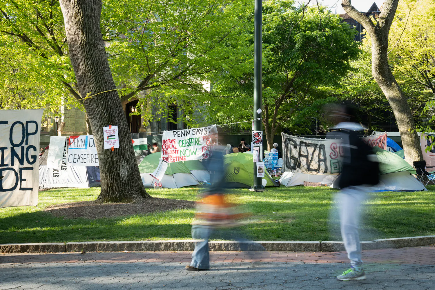 04-27-24 Encampment Morning (Ethan Young)