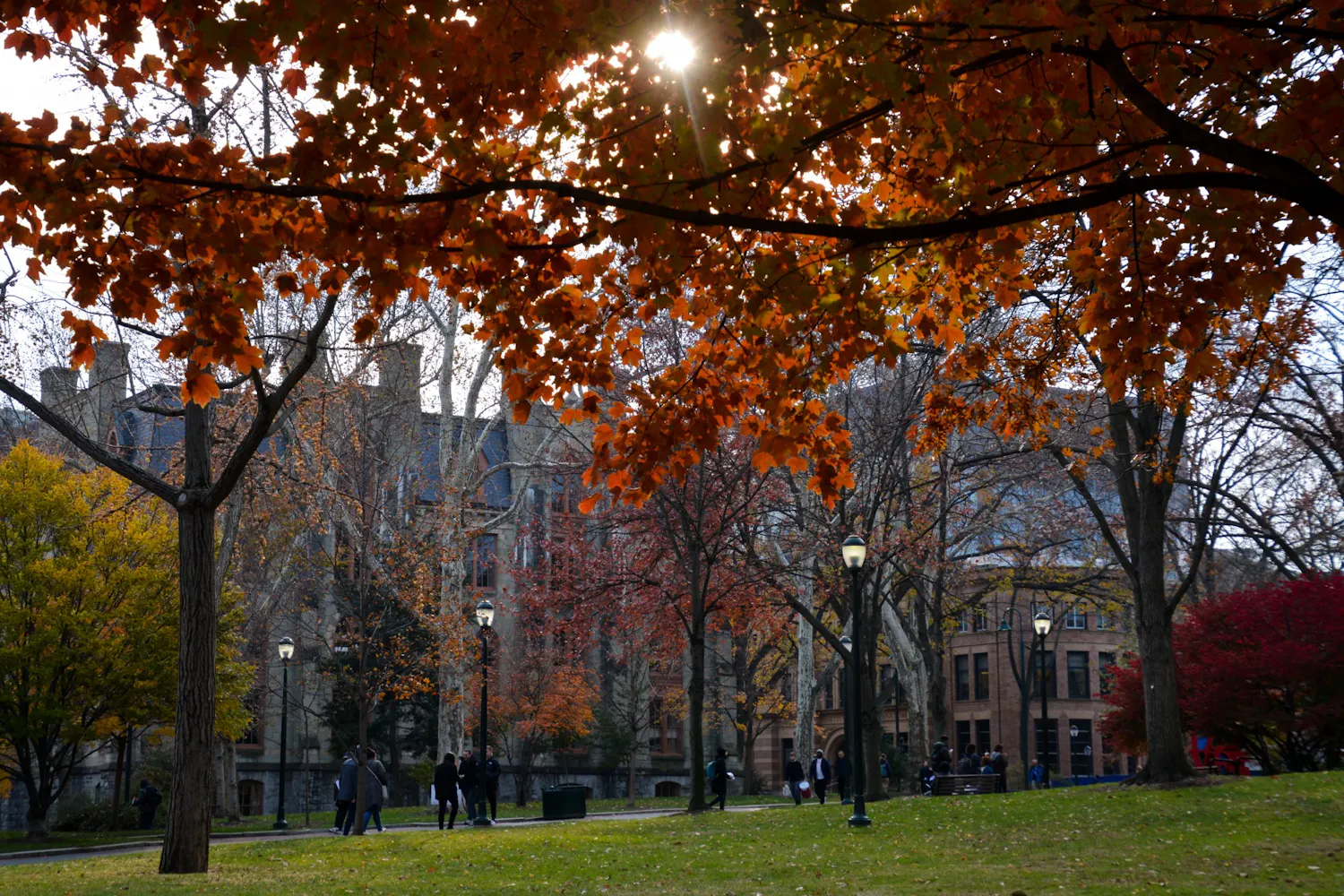 Fall Campus Locust Walk Leaves.jpg