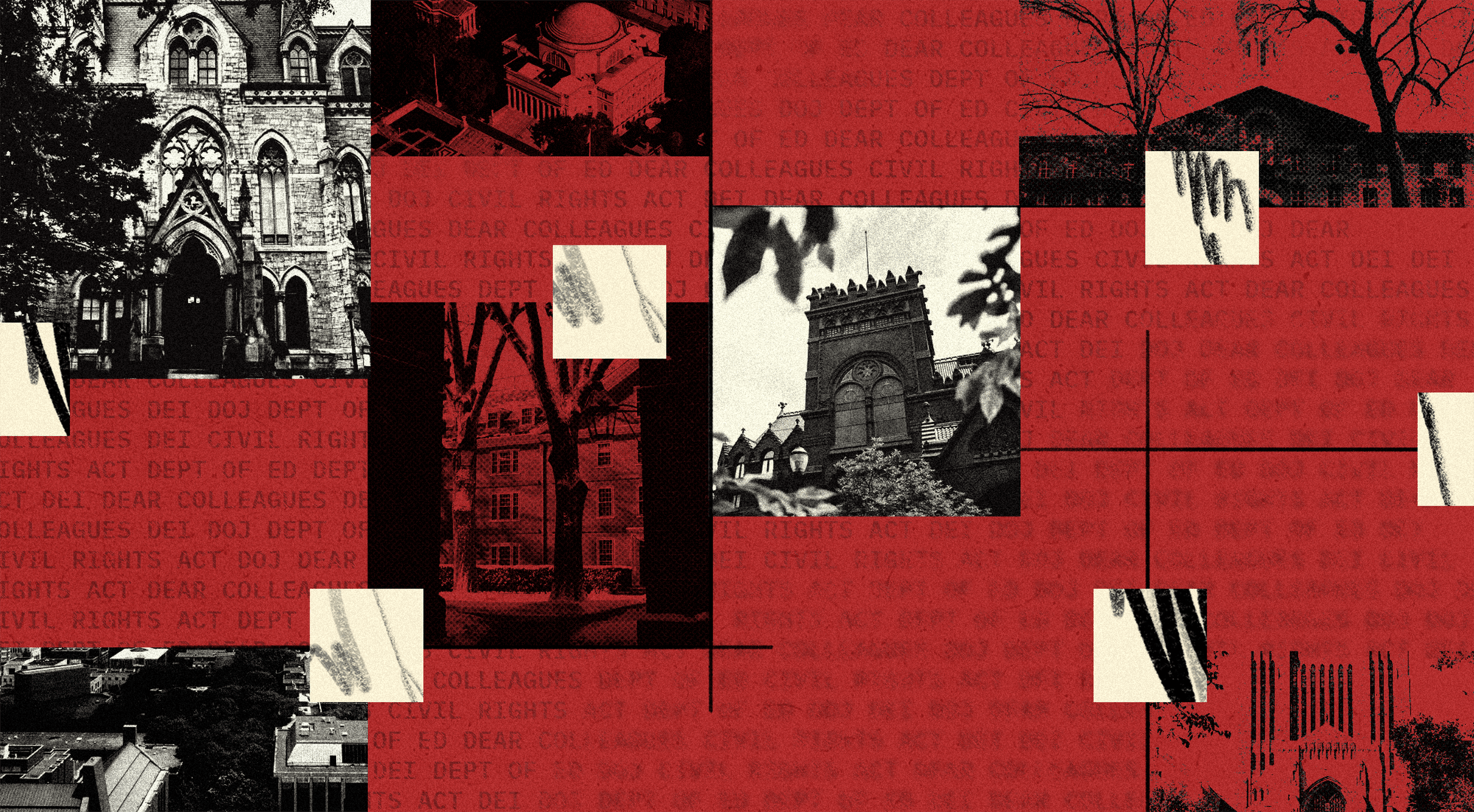 04-01-25 Ivy Comparison (Emmi Wu).png