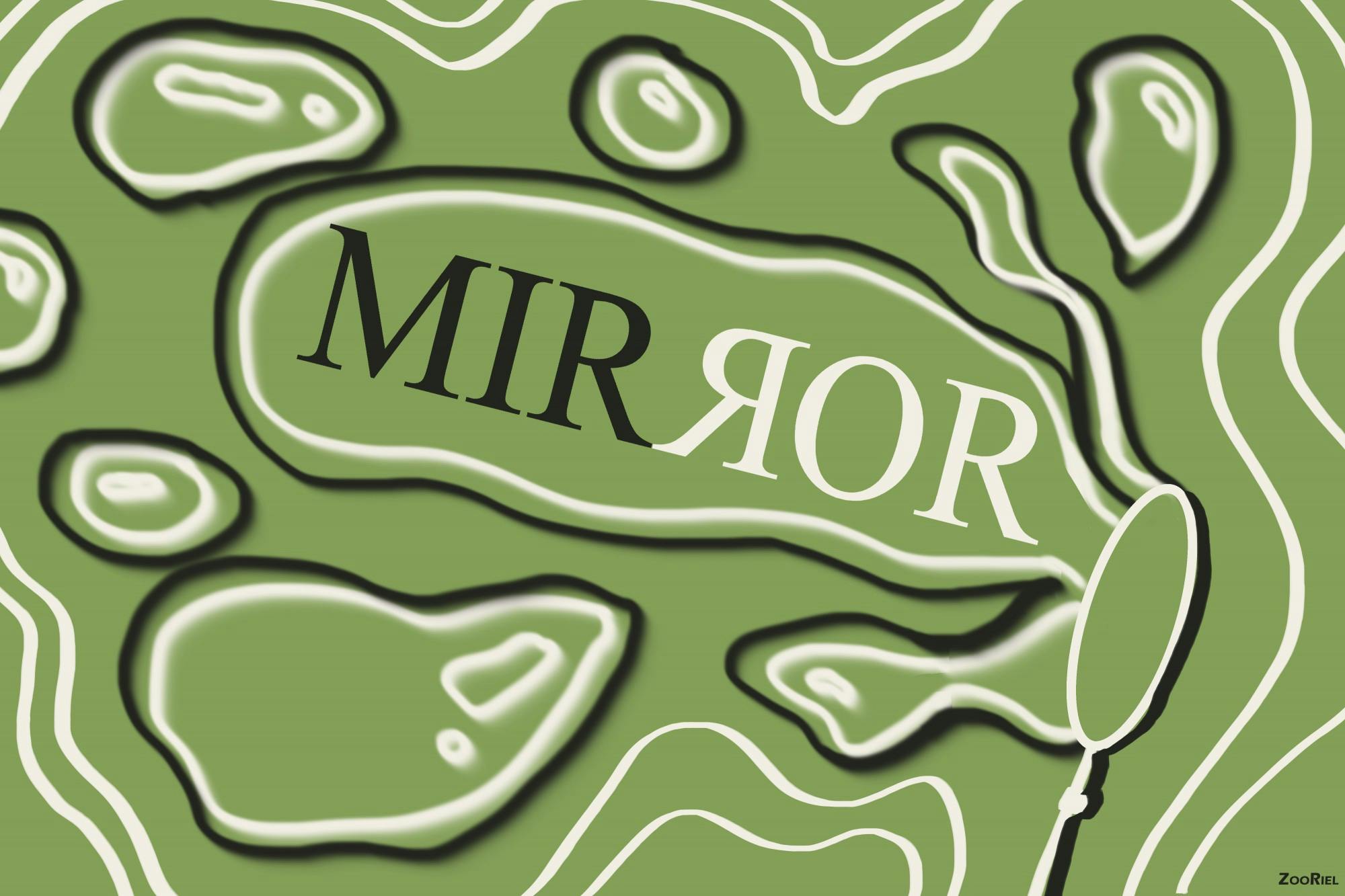 20220403 Mirror Cover.jpg