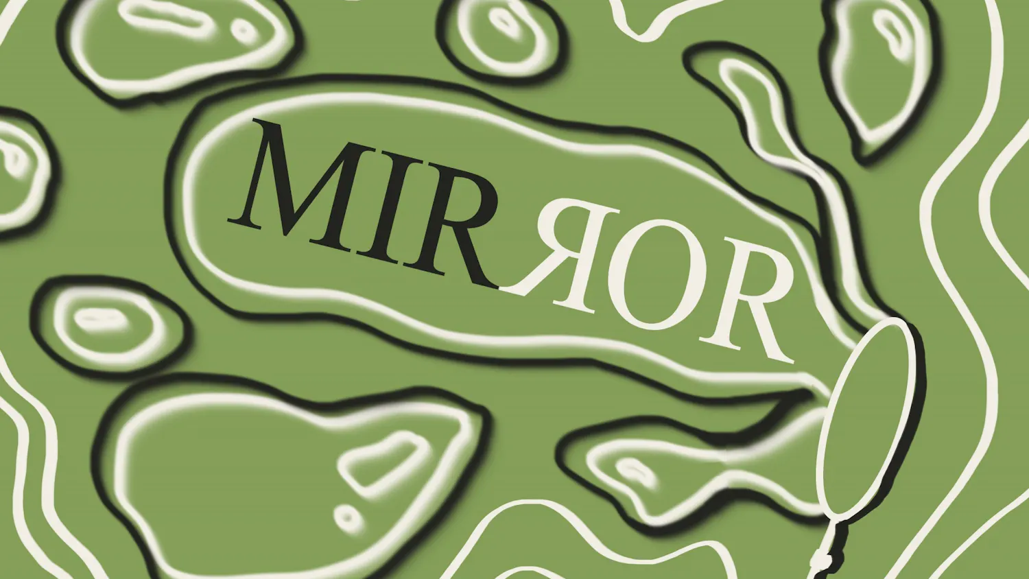 20220403 Mirror Cover.jpg