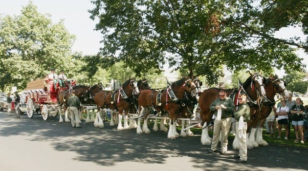 STACY LIVINGSTON / THE DARTMOUTH