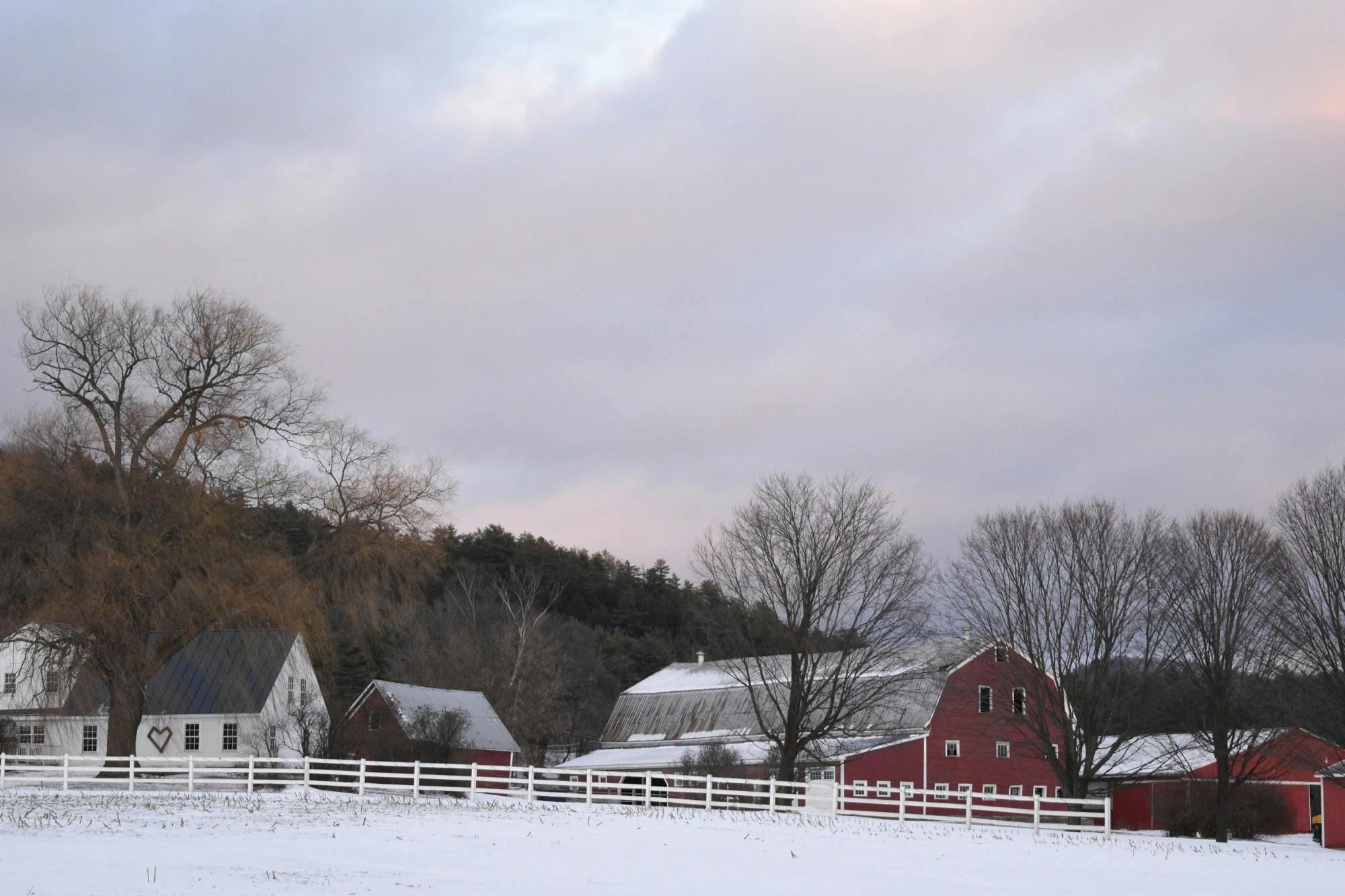 Dairy Farm in Vermont, Photo by Gabriel Onate.JPG