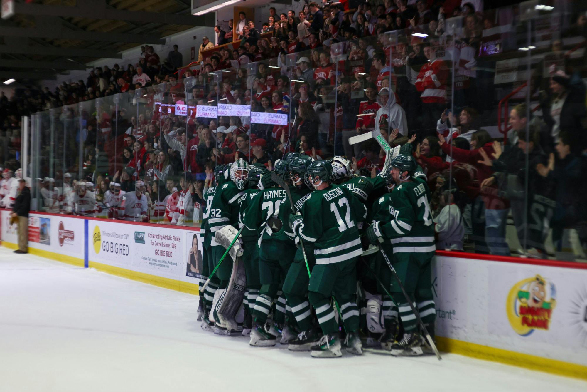 DMIH at Cornell DR-003.heic