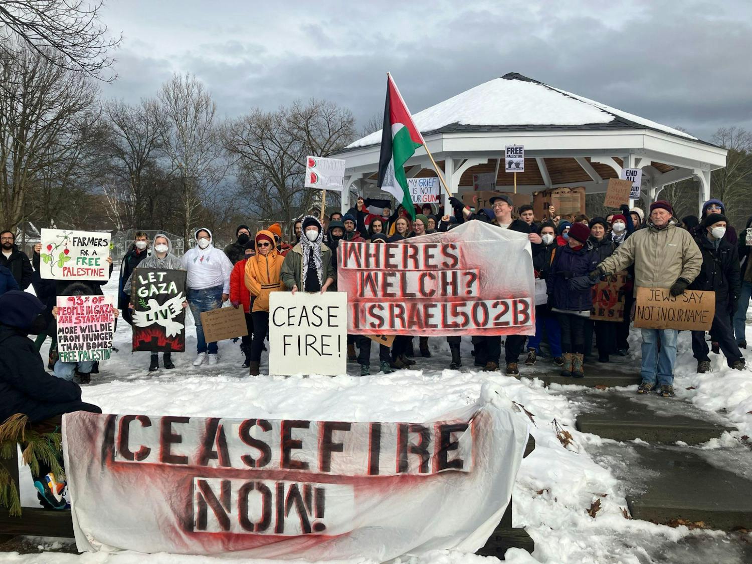 (4) Norwich Green Ceasefire Rally.jpeg