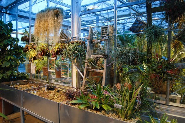 2.1.13.mirror.greenhouse