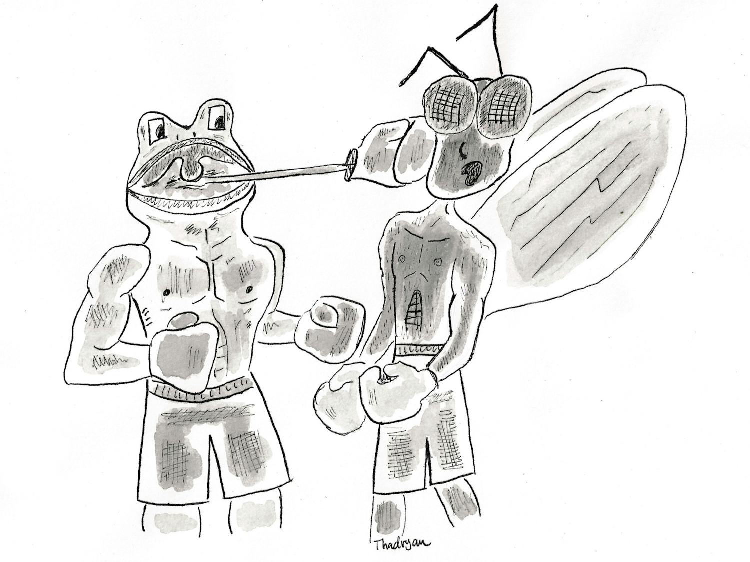 2021-12_frog-and-fly-boxing_finished.jpg