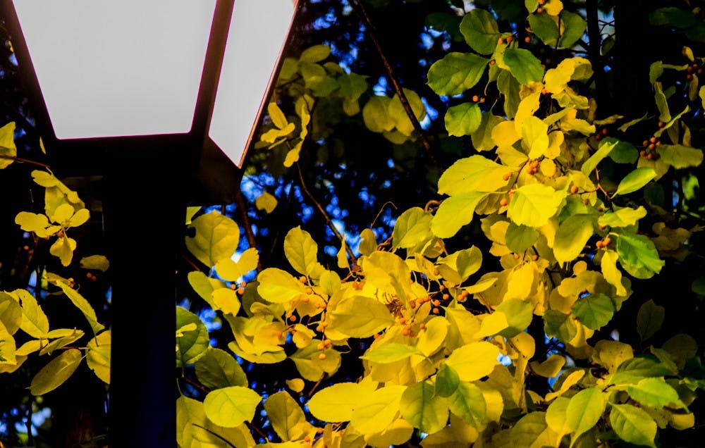 As One Season Leaves...