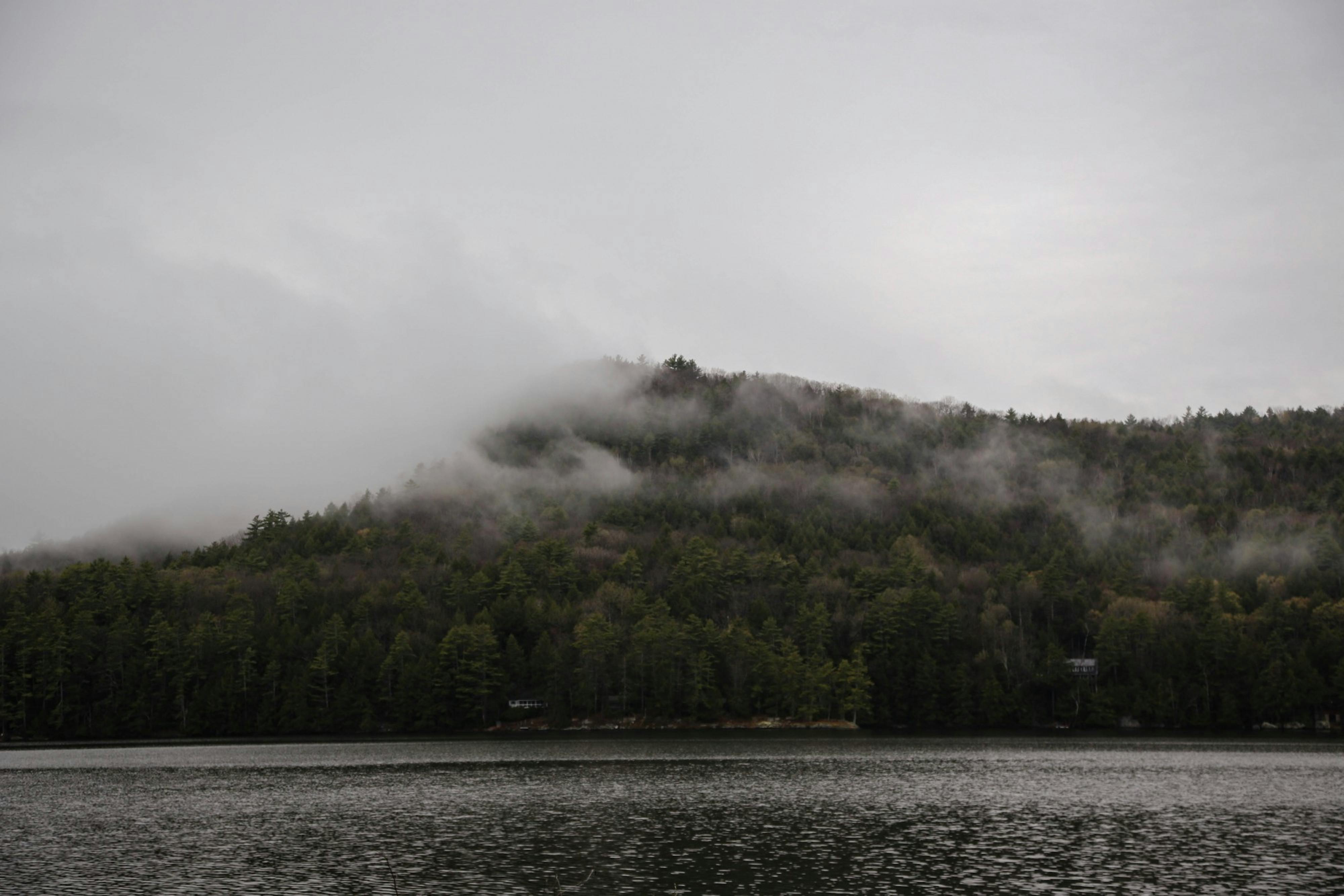 fog_nainabhalla
