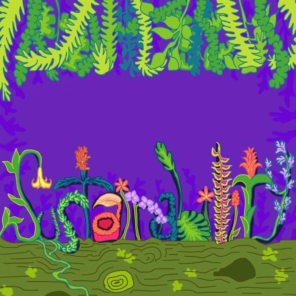 clara-sustainability-cover