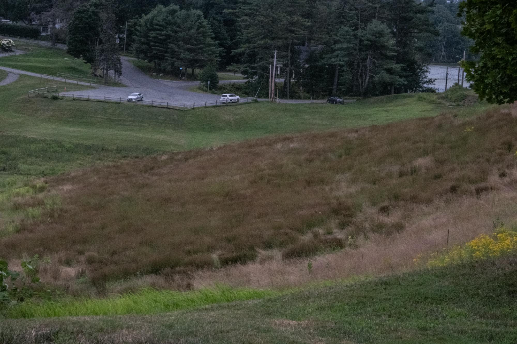 golf course.png