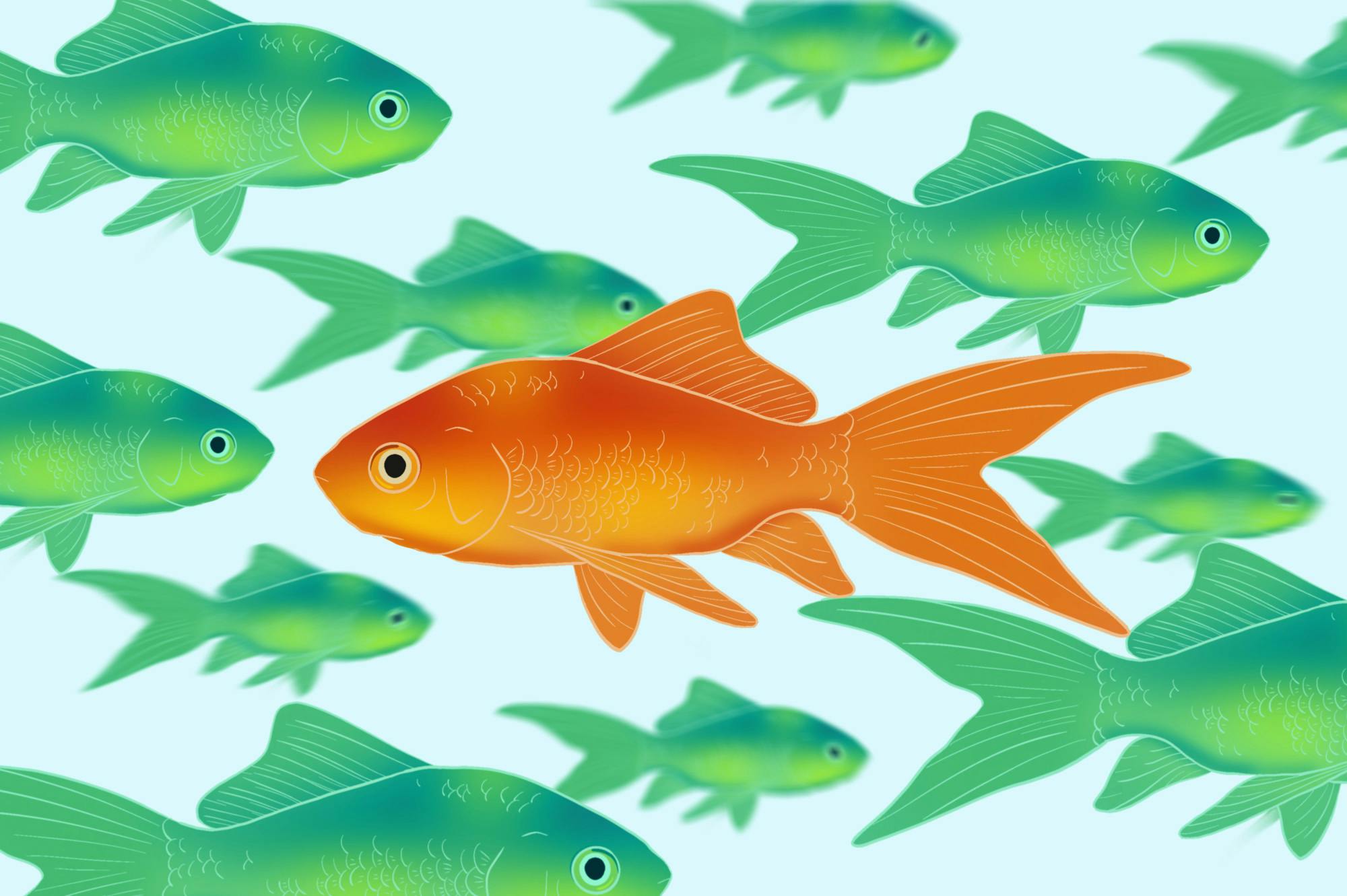 2024-02-20 20.20.59.jpg