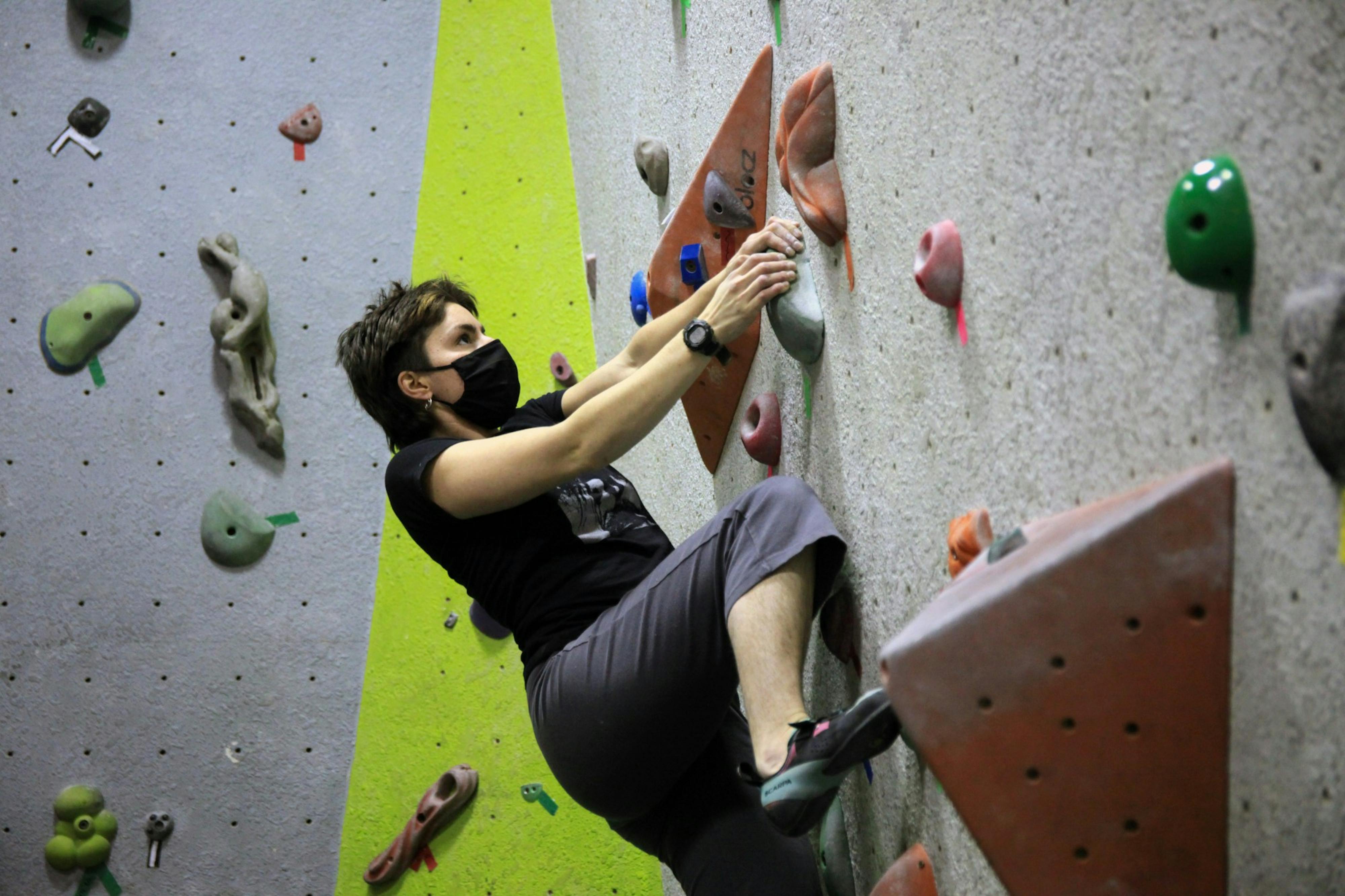 rock wall gym