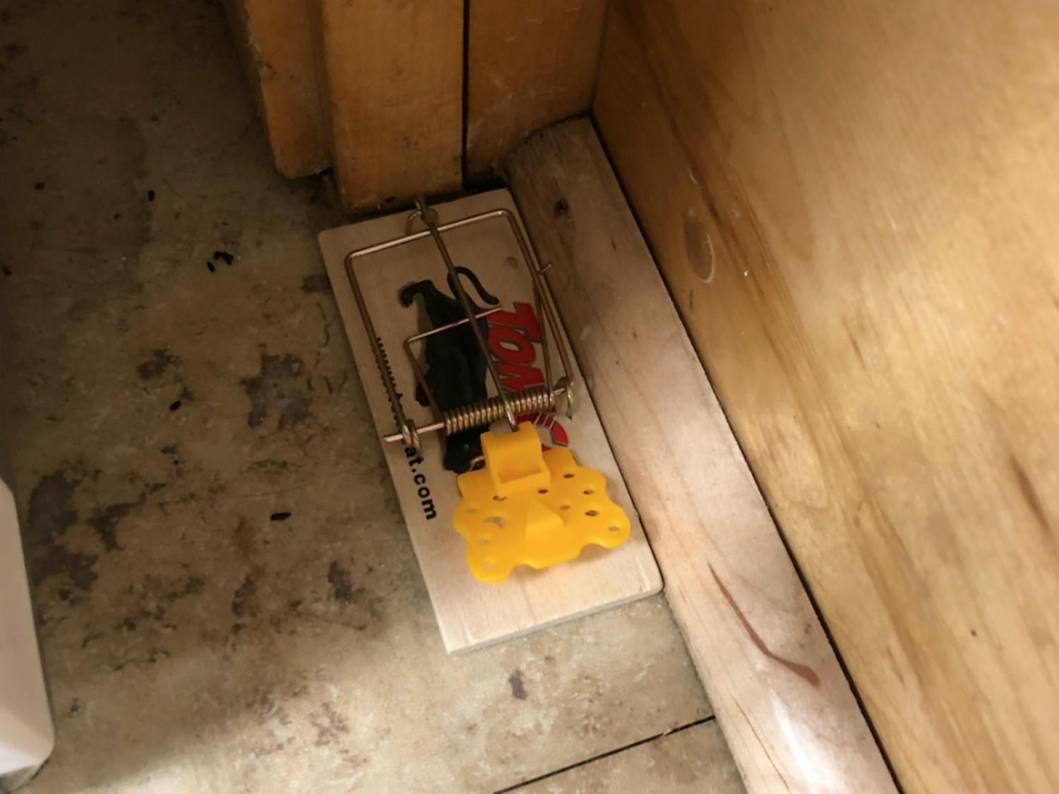 Screen Shot 2019-09-26 at 11.37.52 PM.png