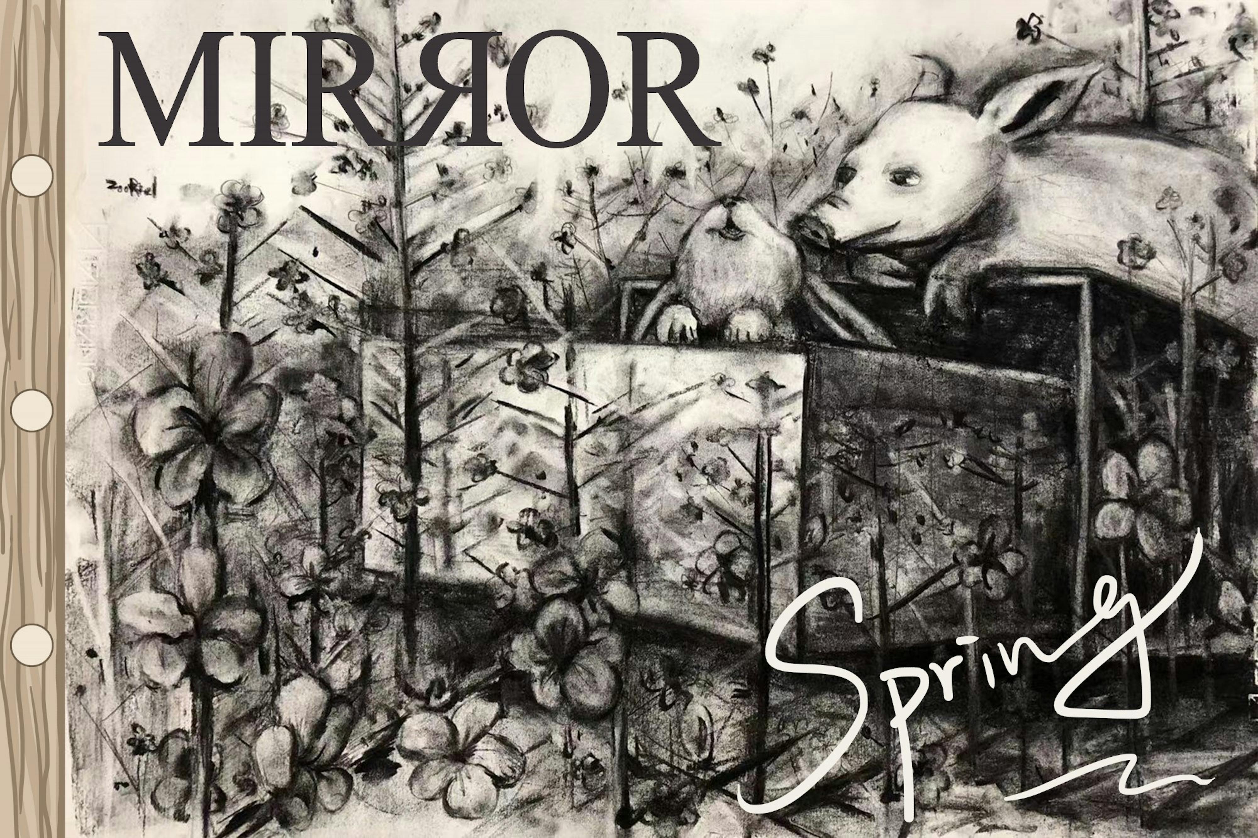 20220329-mirror-cover
