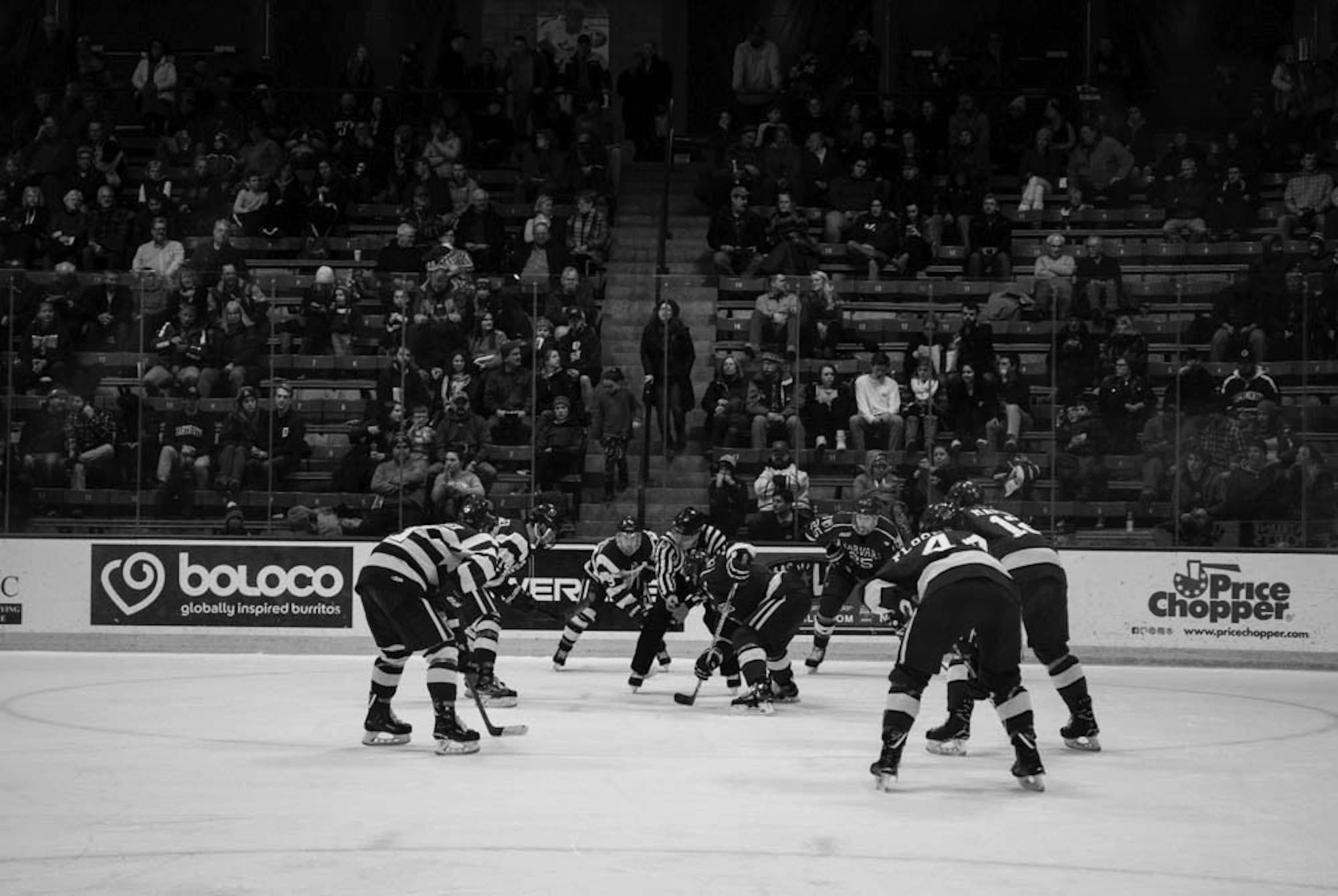 Fresh off a 7-6 victory over Harvard University, the Dartmouth men's hockey team looks forward to its match against Princeton University.&nbsp;