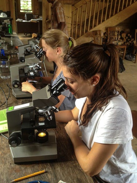 freshmenissue.news.lab