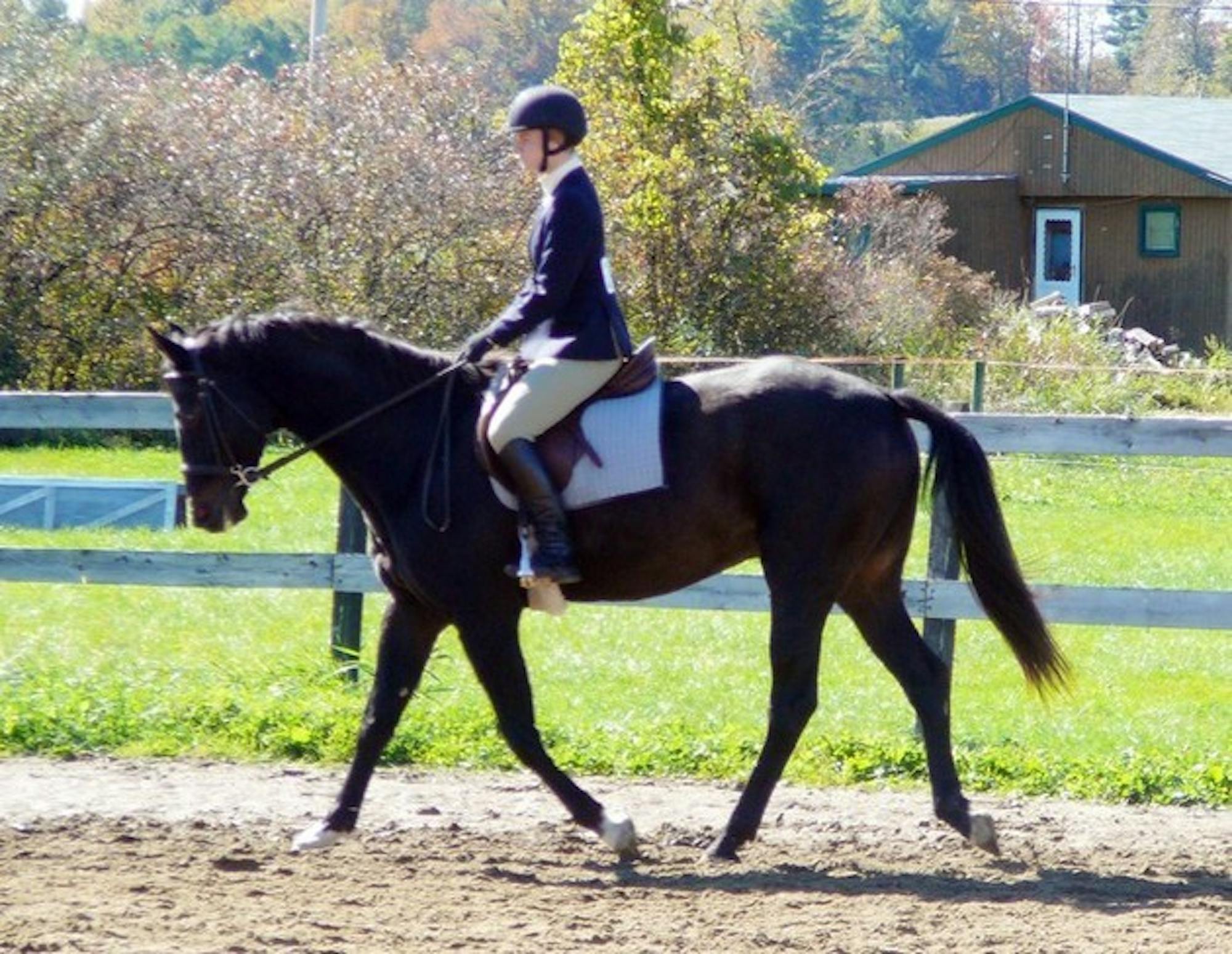 The Dartmouth equestrian team placed higher than seven of the ten schools at the Middlebury Horse Show.