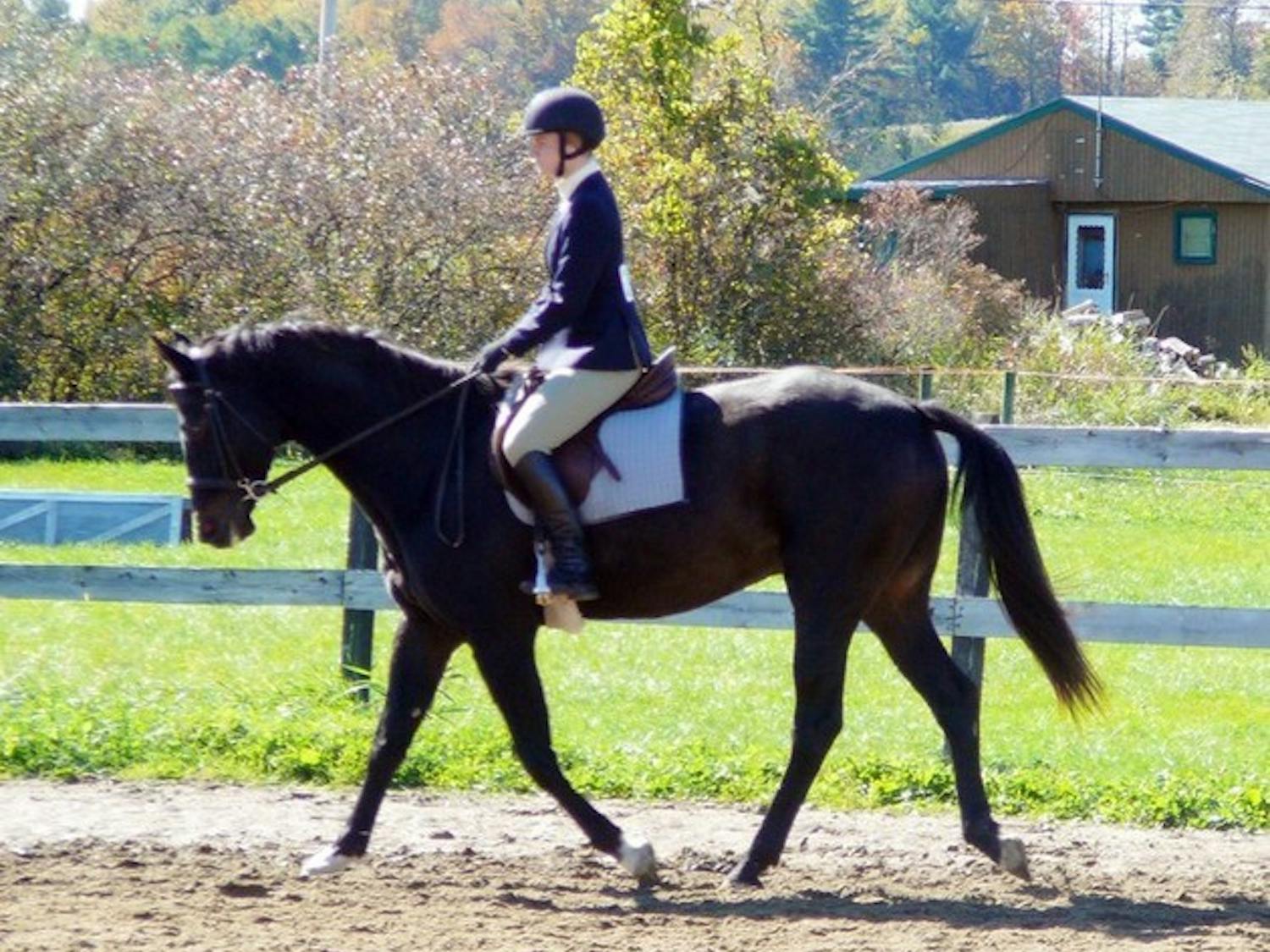 The Dartmouth equestrian team placed higher than seven of the ten schools at the Middlebury Horse Show.