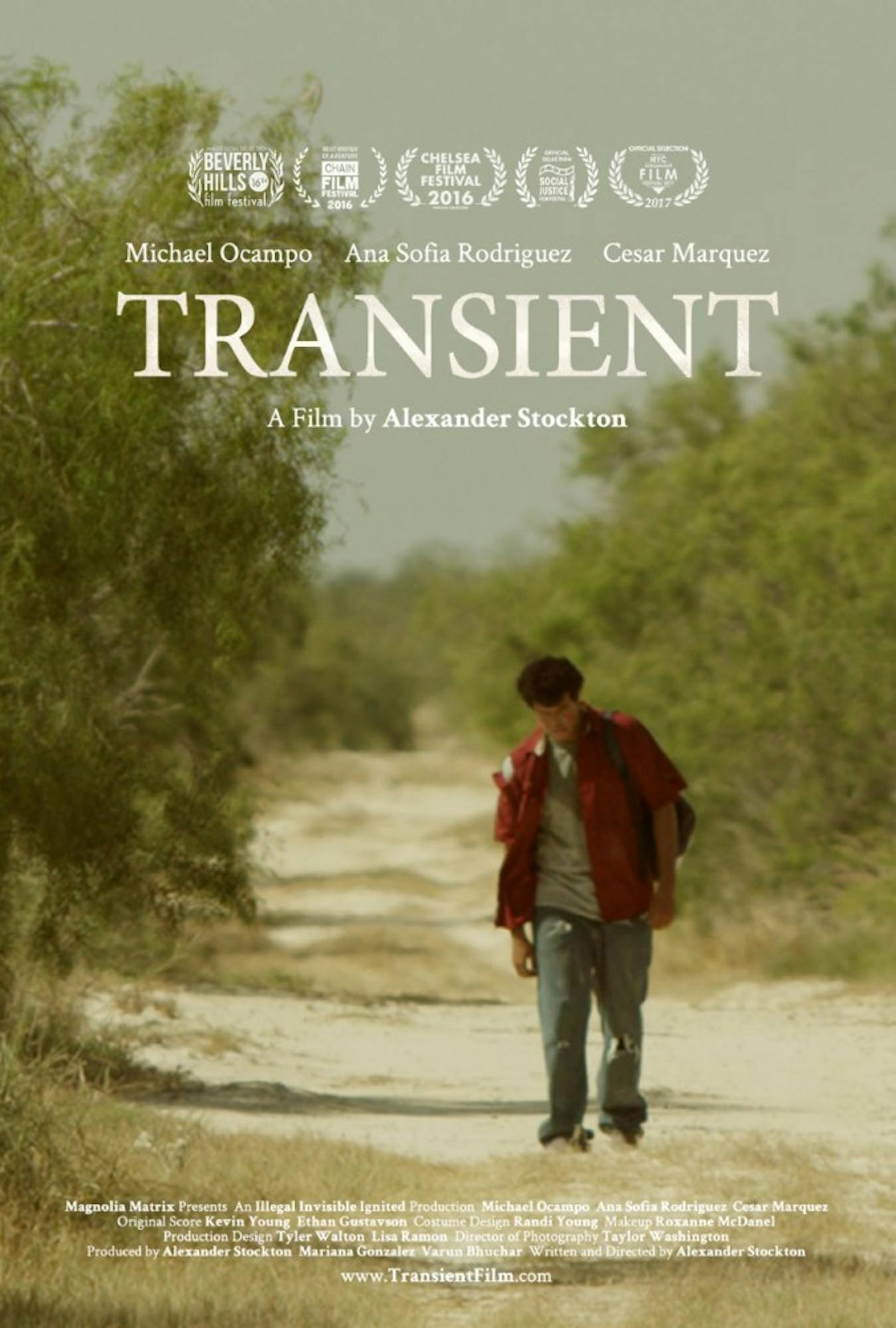 thumbnail_transient_poster