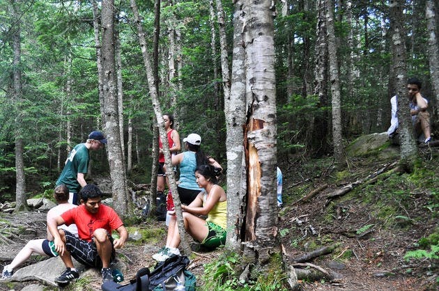 This year's Strips saw increased participation due to advertising efforts and a larger sophomore class size, co-director Reed Womack '14 said. 