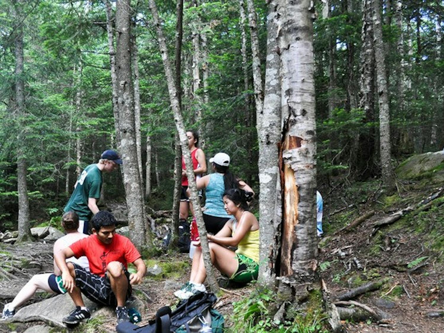 This year's Strips saw increased participation due to advertising efforts and a larger sophomore class size, co-director Reed Womack '14 said.