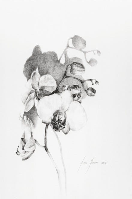 05.17.10.arts.Anzellflower